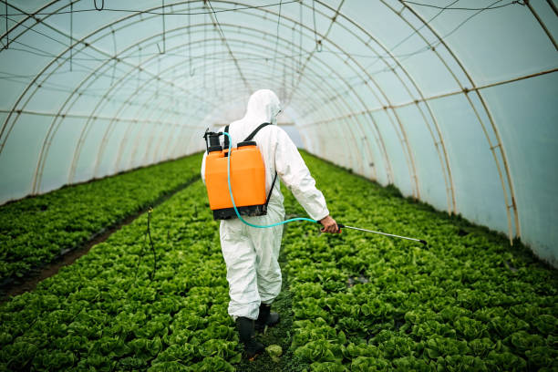 Best Mosquito Control Services  in Winter Park, FL