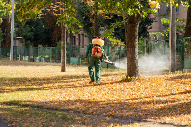 Wasp Removal Services in Winter Park, FL