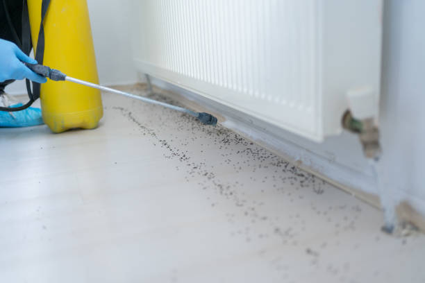 Best Pest Removal Services  in Winter Park, FL