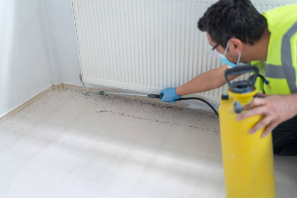 Best Flea Control Services  in Winter Park, FL