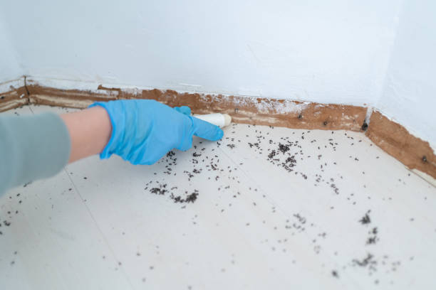 Trusted Winter Park, FL Pest Control Experts
